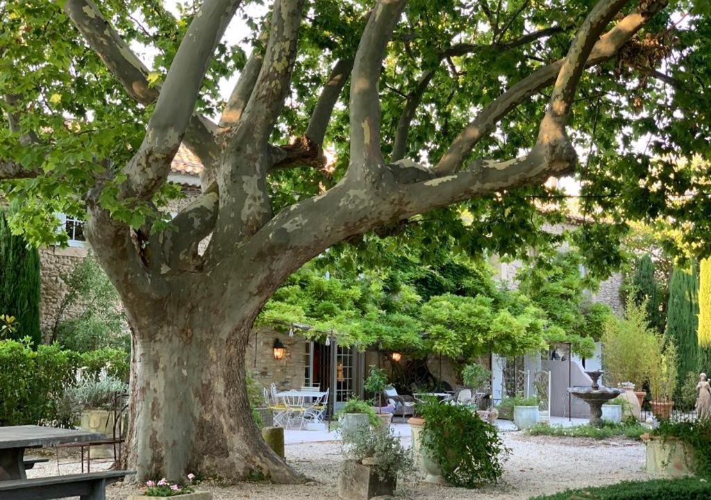 Photo of Others in Lagnes