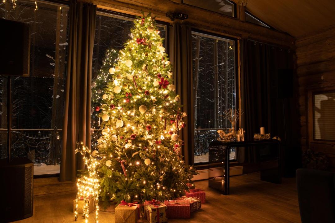 Photo of Others in Medvezhyegorsk