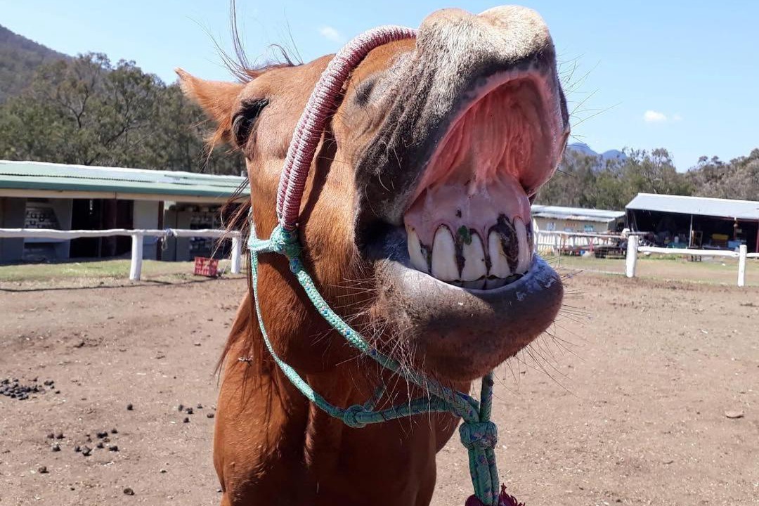 Photo of Others in Tregony