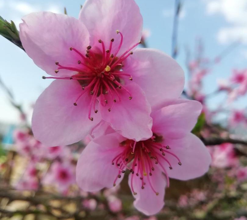 Photo of Others in Chalais