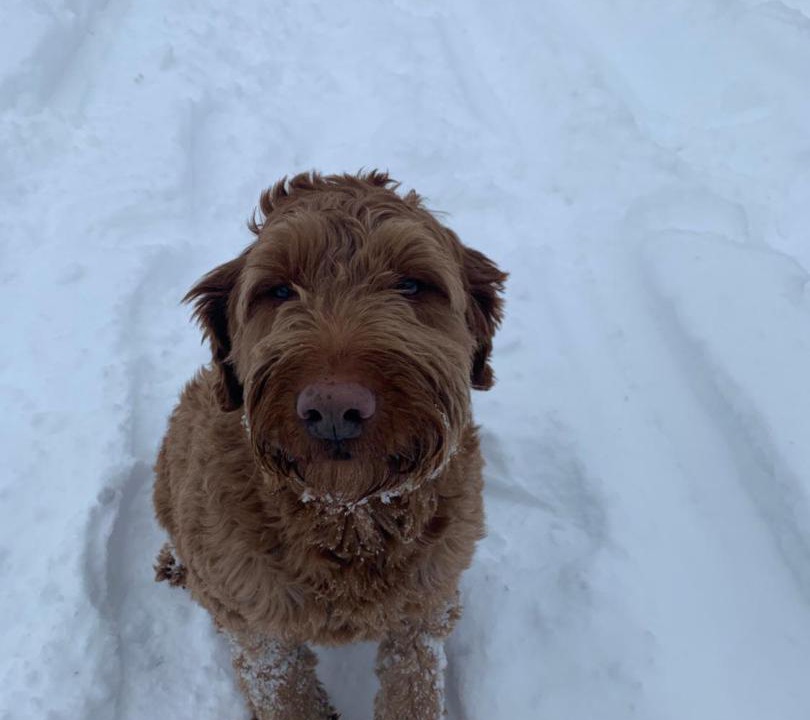 Photo of Others in Redfield