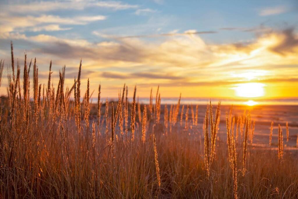 Photo of Others in Moclips