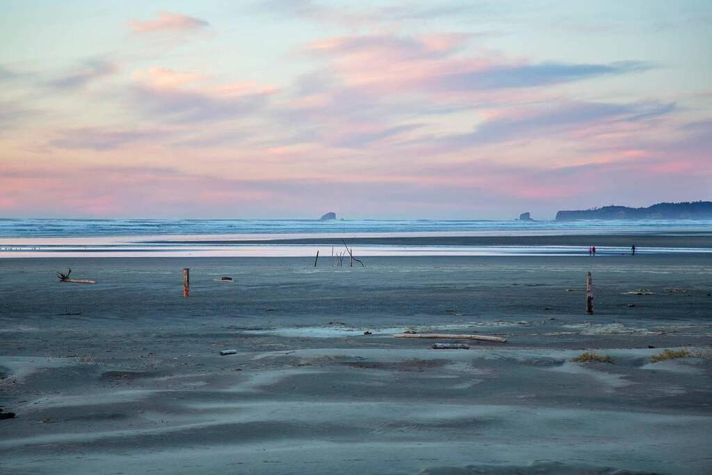 Photo of Others in Moclips