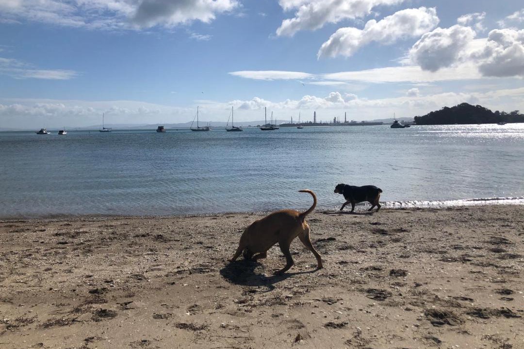 Photo of Others in Whangarei Heads