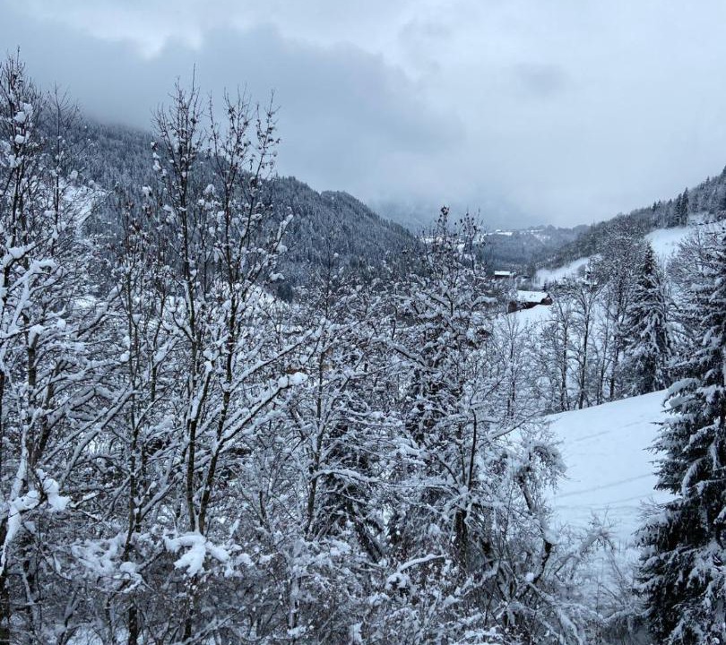 Photo of Others in Le Grand-Bornand