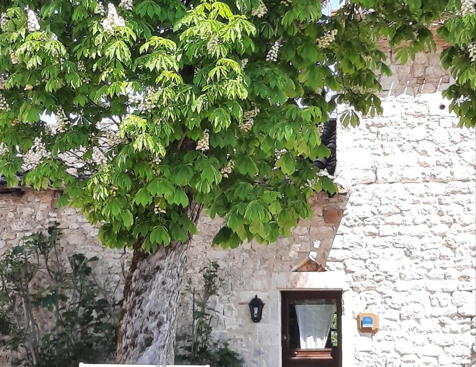 Photo of Buildings in Andillac