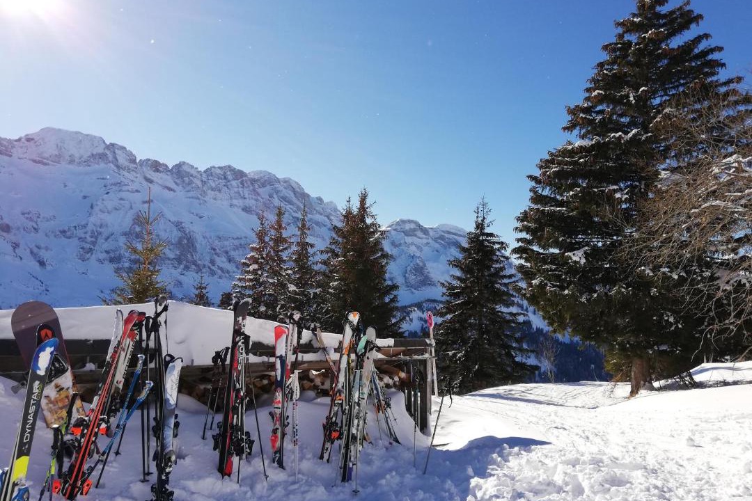 Photo of Others in Champery