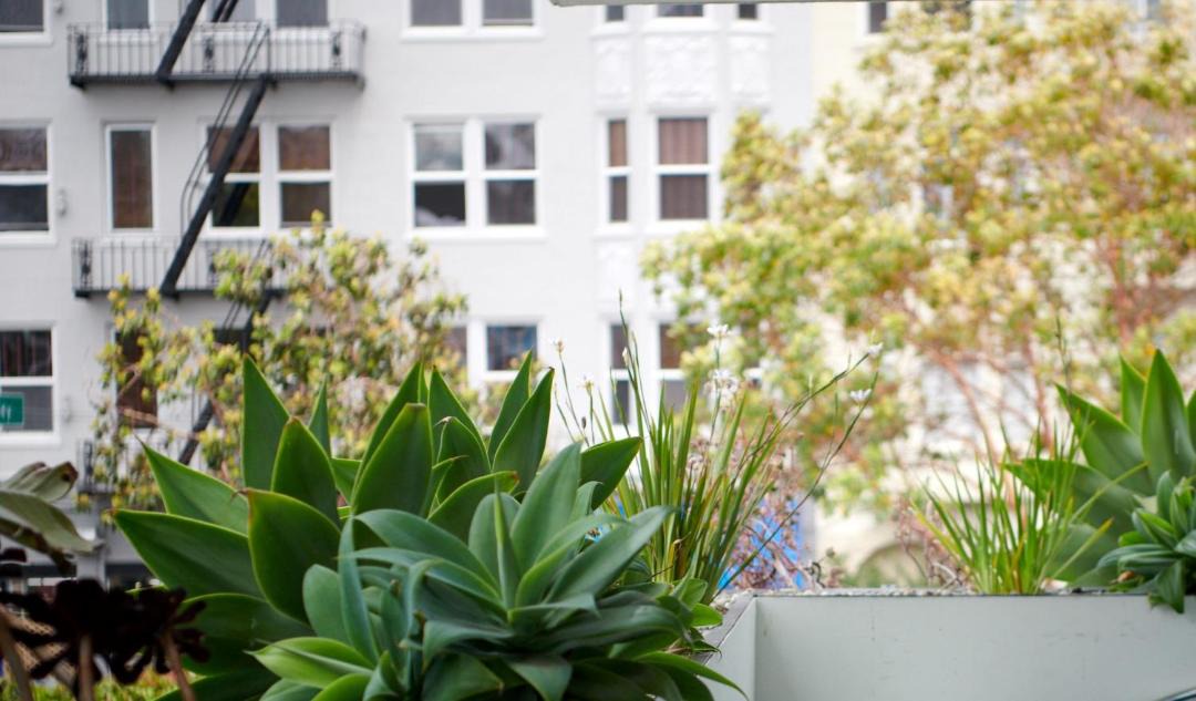 Photo of Others in Tenderloin