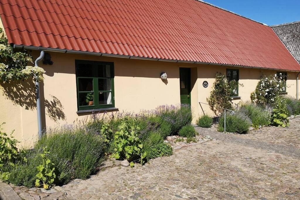 Photo of Others in Ugledige