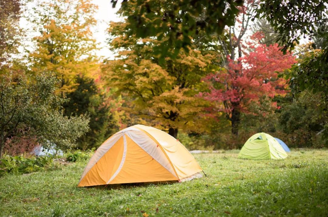 Photo of Others in Dorchester