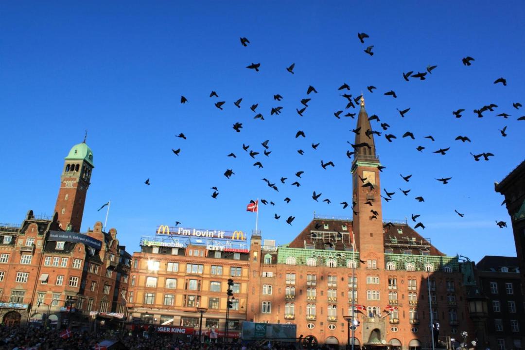 Photo of Others in Sydhavnen