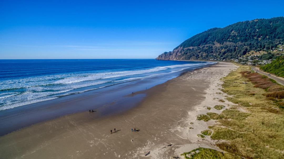 Photo of Others in Manzanita