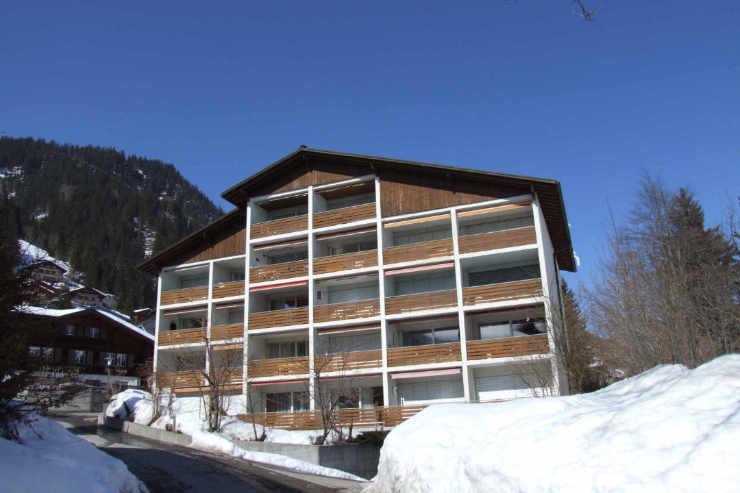 Photo of Others in Adelboden