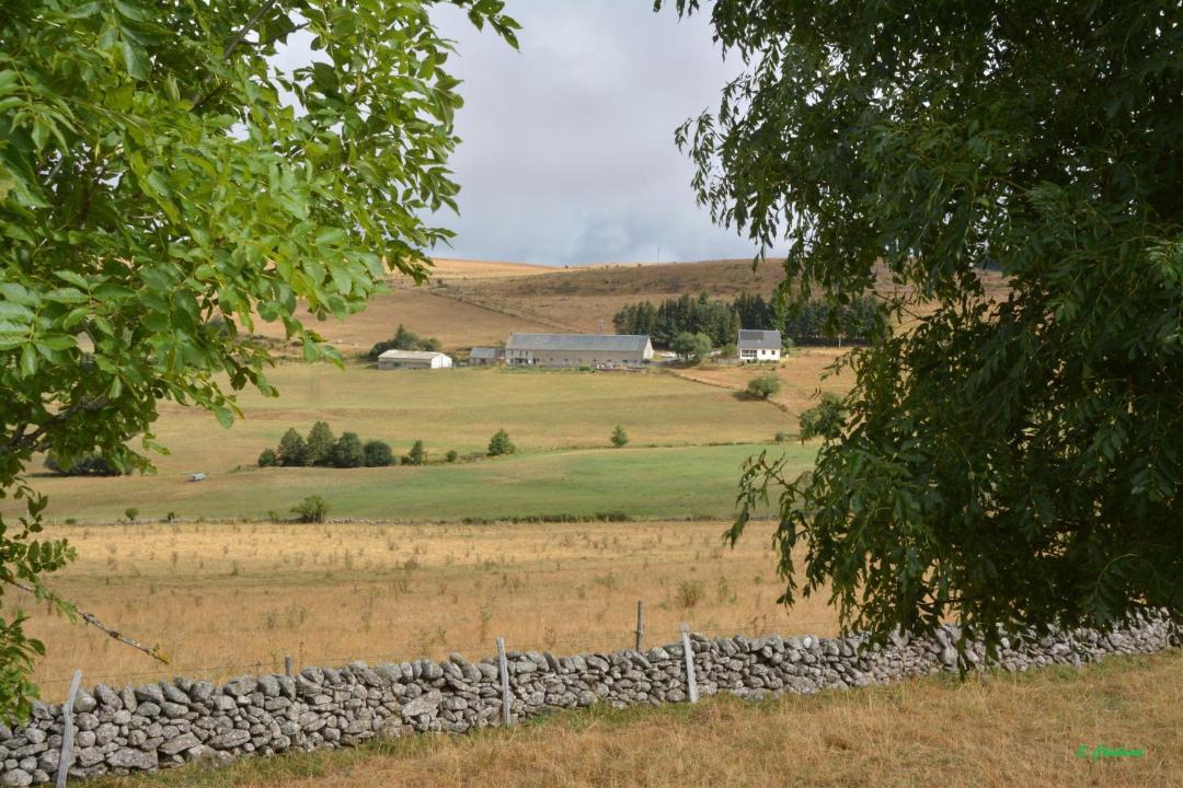 Photo of Others in Laguiole