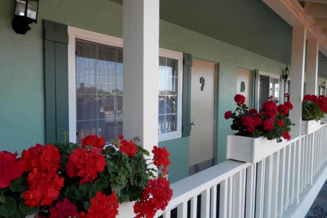 Photo of Others in Munras Avenue