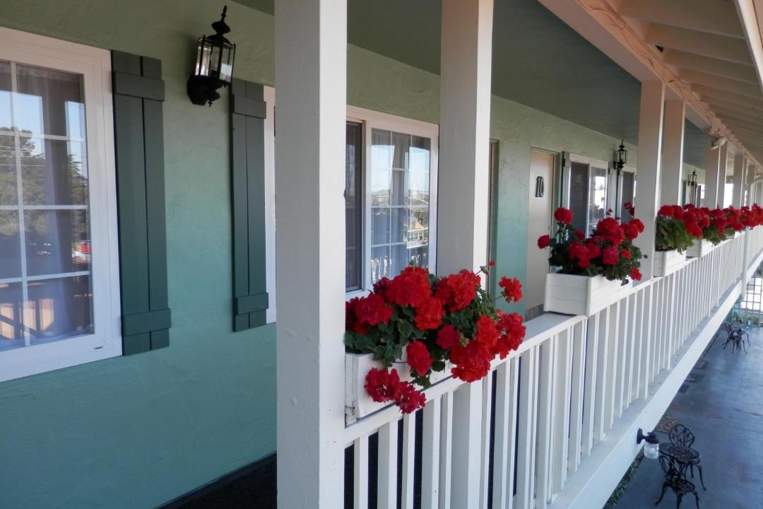 Photo of Others in Munras Avenue