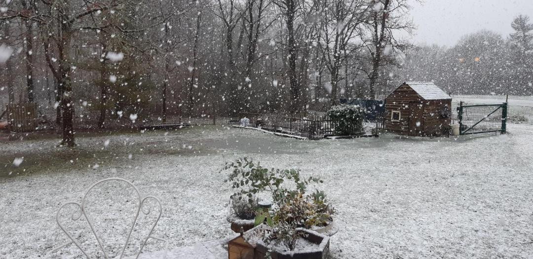 Photo of Others in Chaon