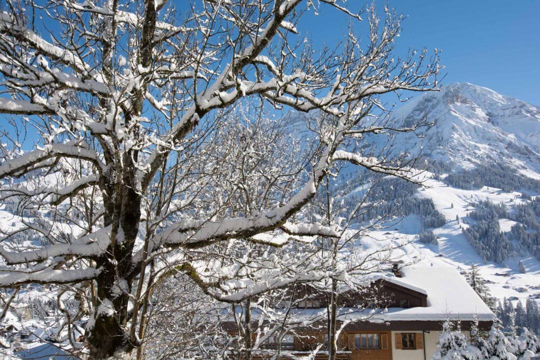 Photo of Others in Adelboden