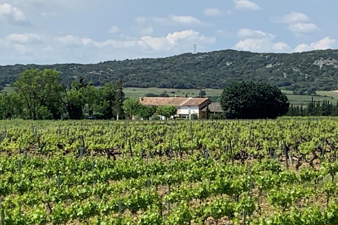 Photo of Others in Roquemaure