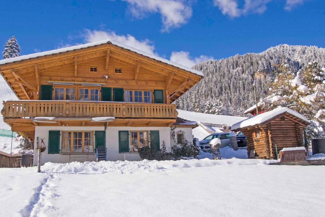 Photo of Others in Adelboden