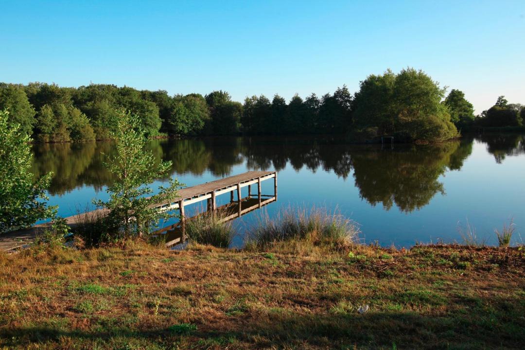 Photo of Outdoor in Saint-Julien-des-Landes