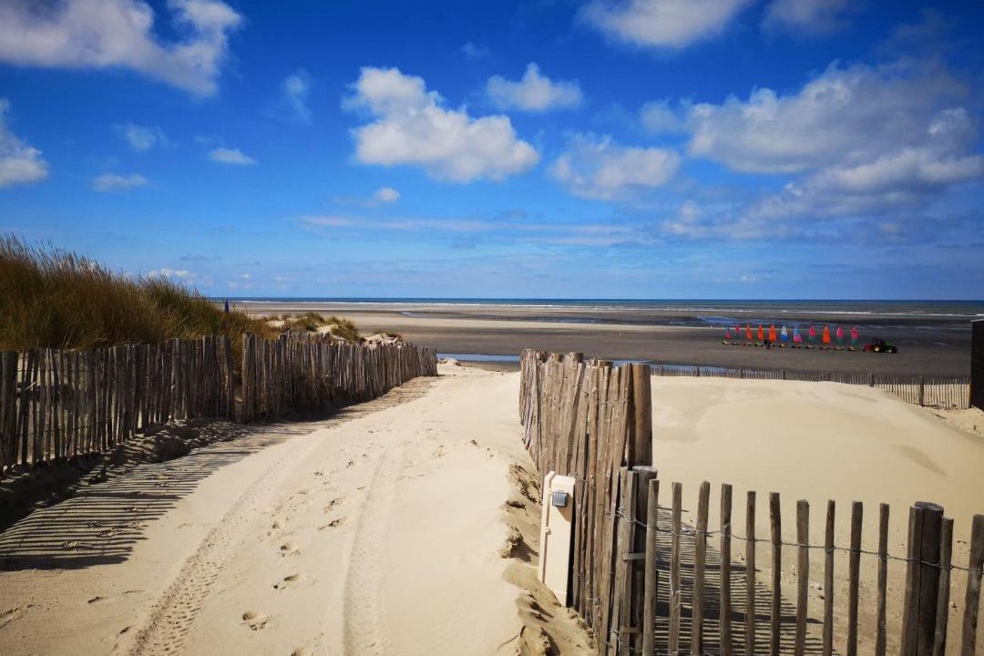 Photo of Others in Camiers