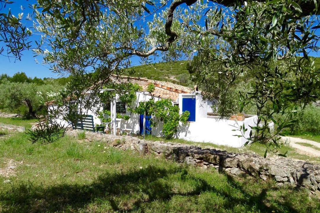 Photo of Others in El Perello