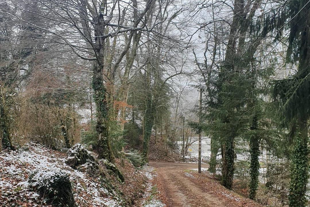 Photo of Others in Villeneuve-de-Marc