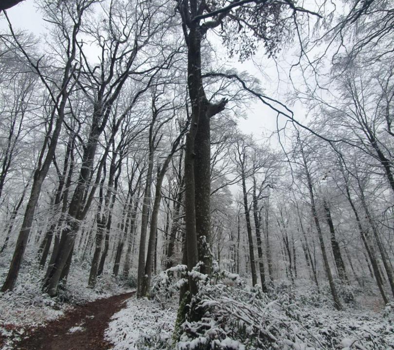 Photo of Others in Villeneuve-de-Marc