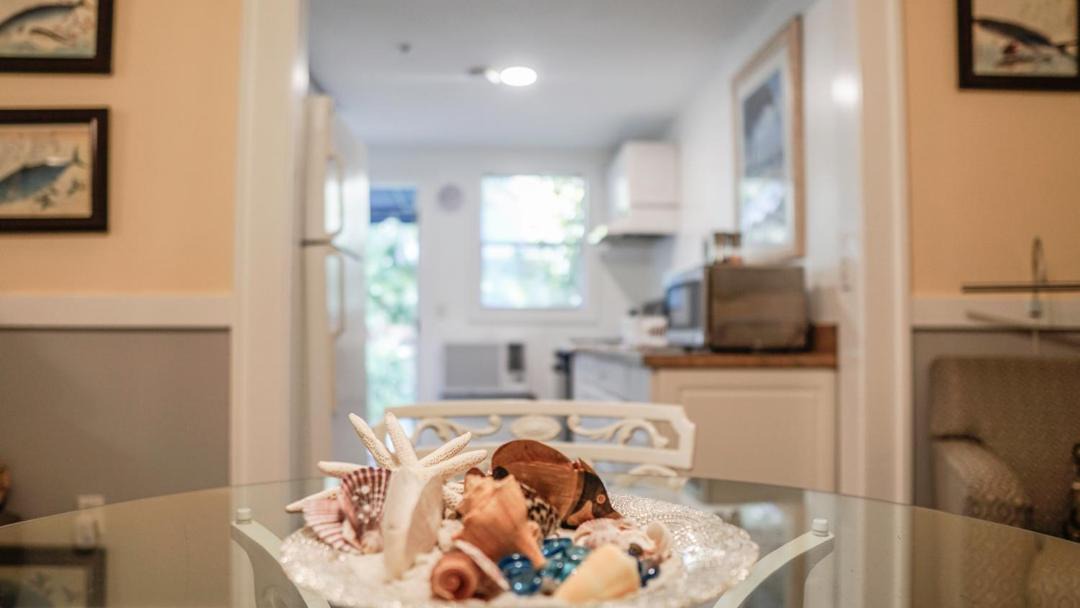 Photo of Others in Downtown Dunedin