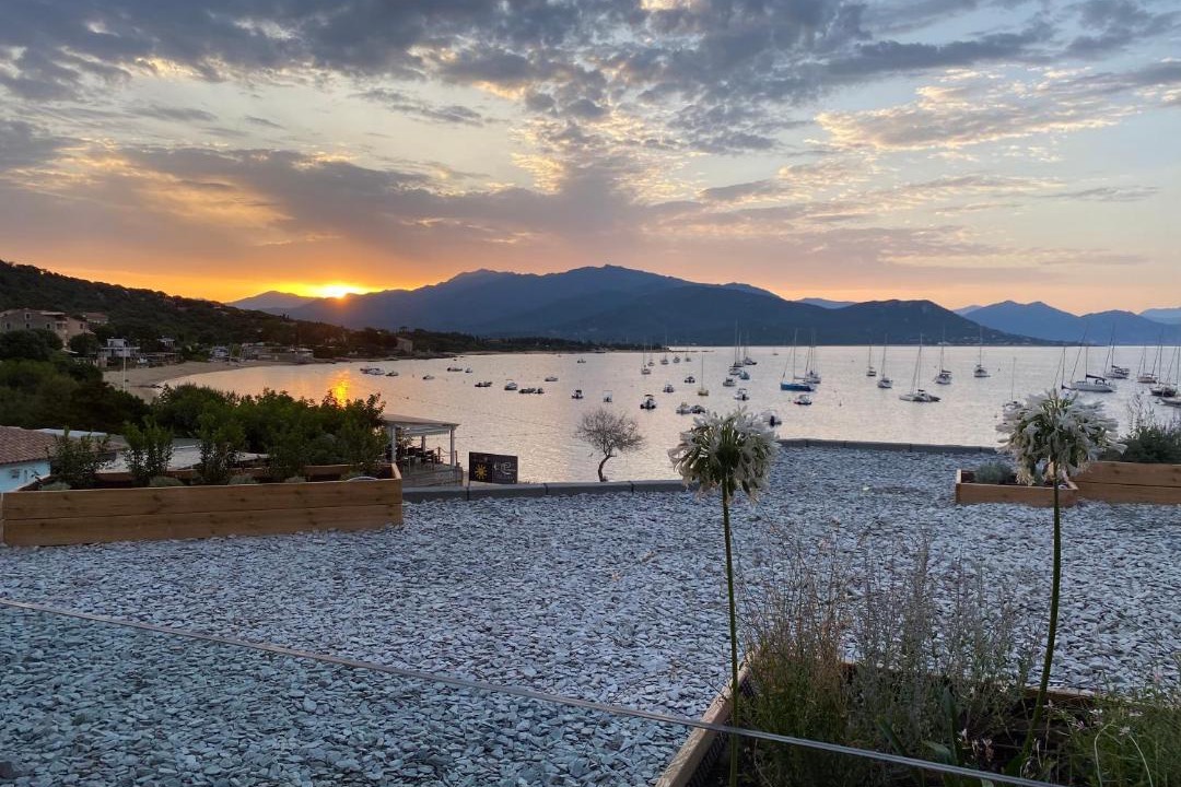 Photo of Others in Porto Pollo