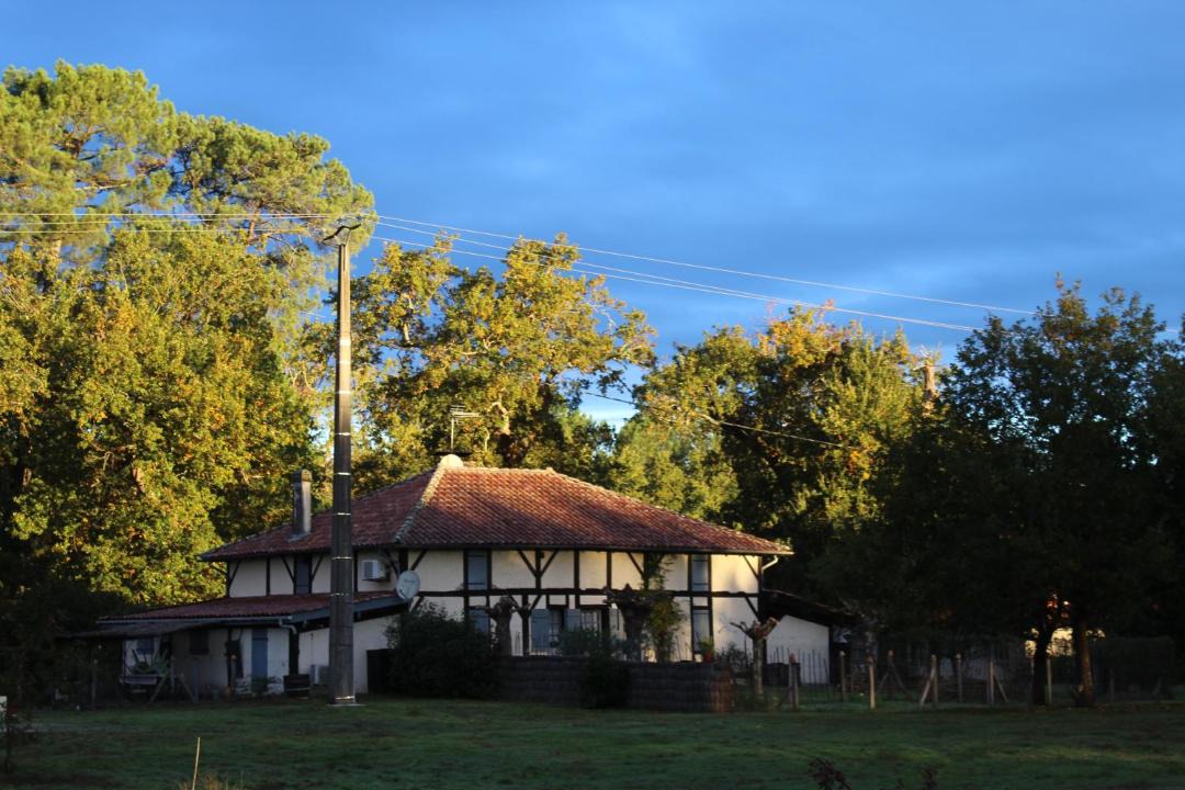 Photo of Others in Onesse-et-Laharie
