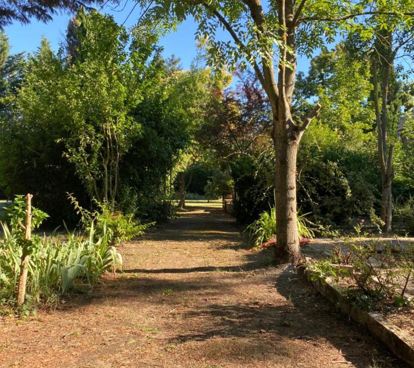 Photo of Others in Chanos-Curson