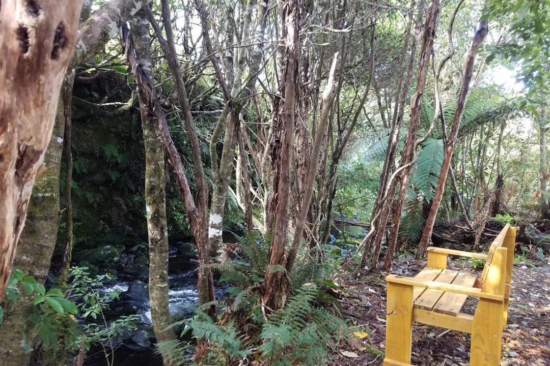 Photo of Others in Horopito