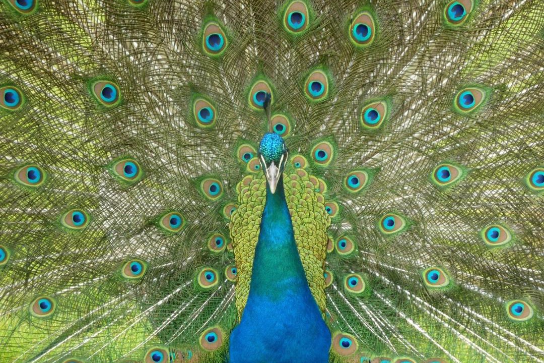 Photo of Others in Fretigney-et-Velloreille