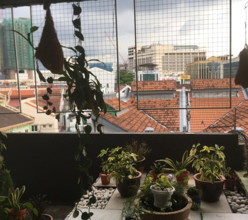 Photo of Others in Jawa