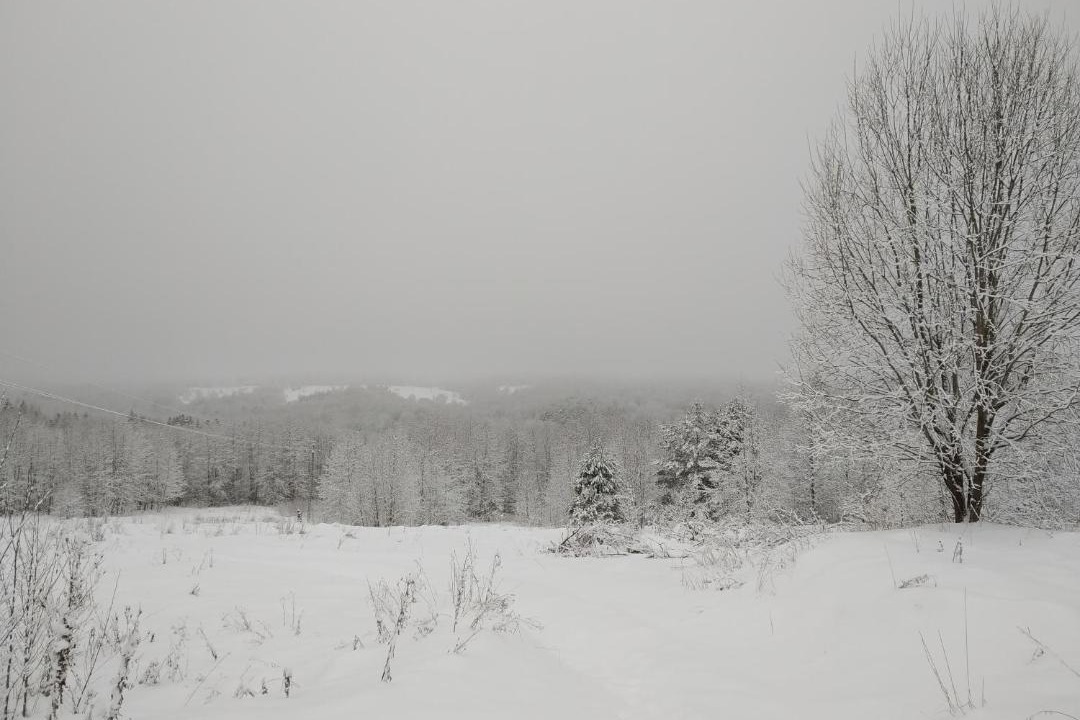 Photo of Others in Bashkovo