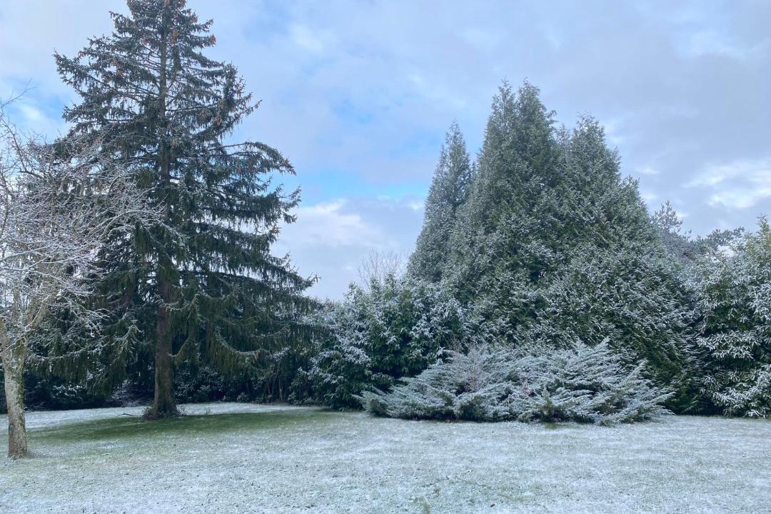 Photo of Outdoor in Vareilles