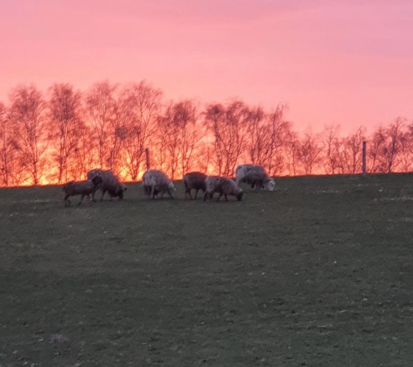 Photo of Others in Faaborg