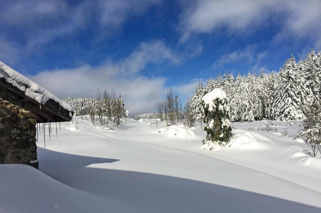 Photo of Others in Le Chambon-sur-Lignon