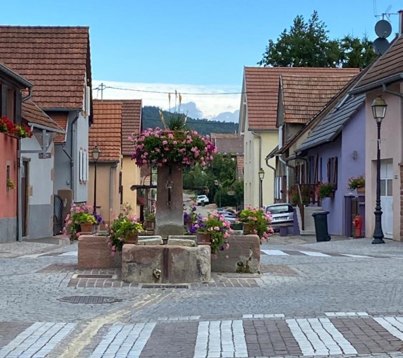 Photo of Others in Hengwiller