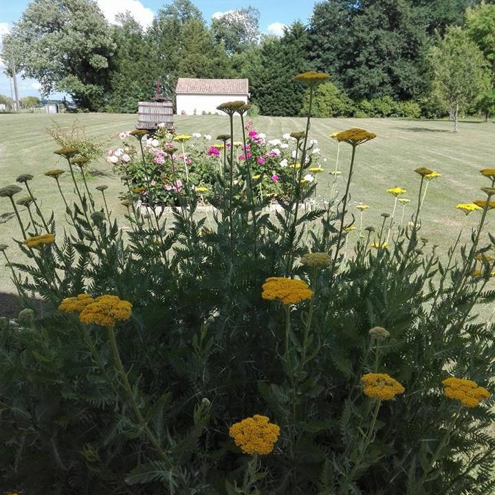 Photo of Others in Polignac