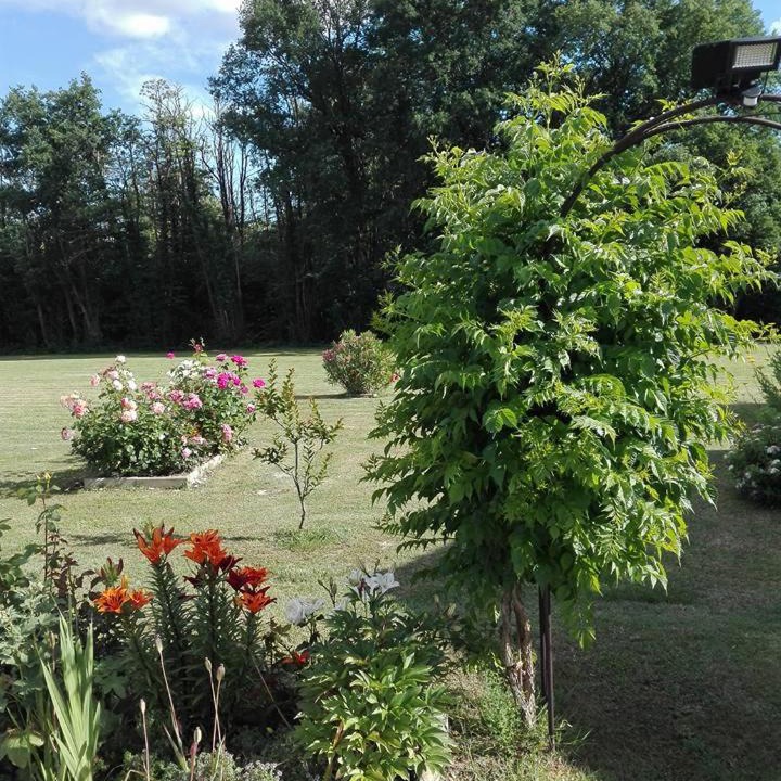 Photo of Others in Polignac