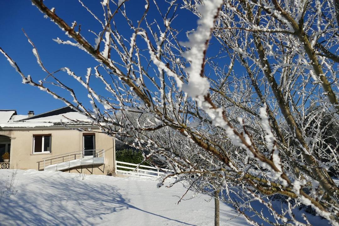 Photo of Buildings in Lacaune
