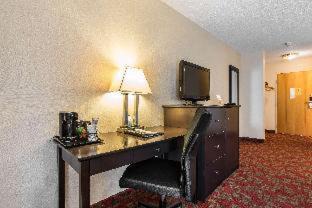 Photo of Others in Shelburne