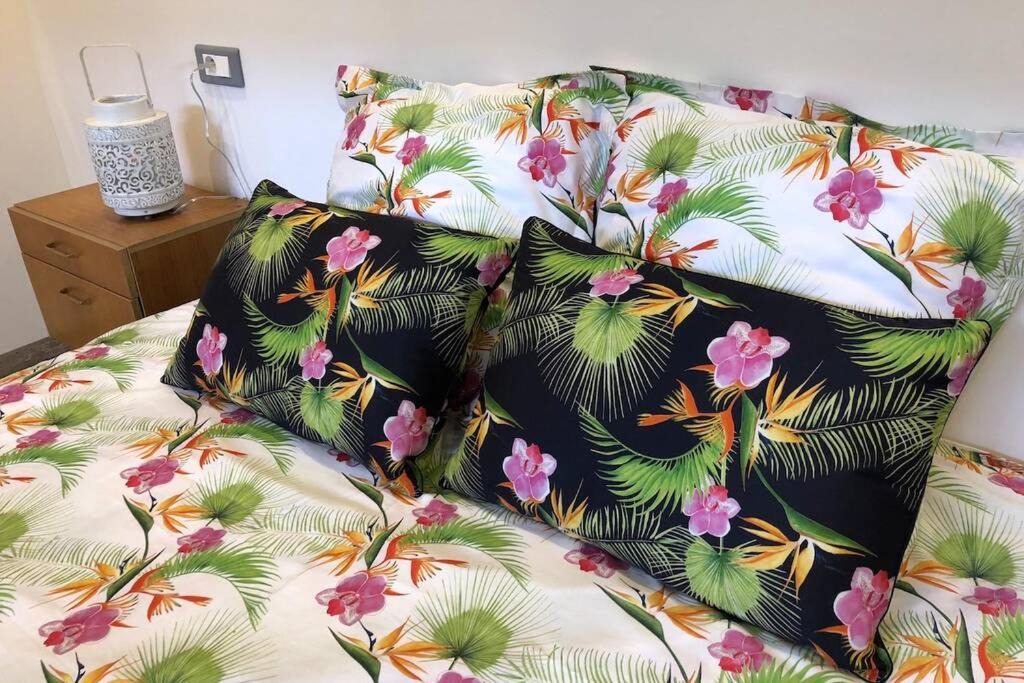 Photo of Others in Mulhouse