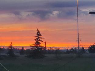 Photo of Others in Renton