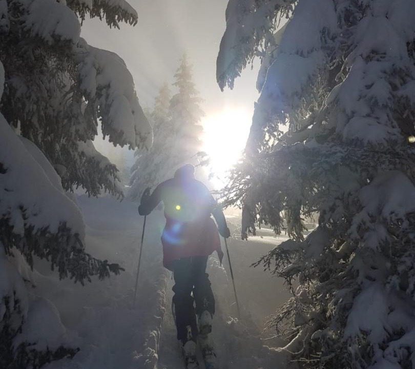 Photo of Others in Moretel-de-Mailles