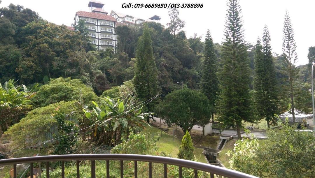 Photo of Others in Tanah Rata