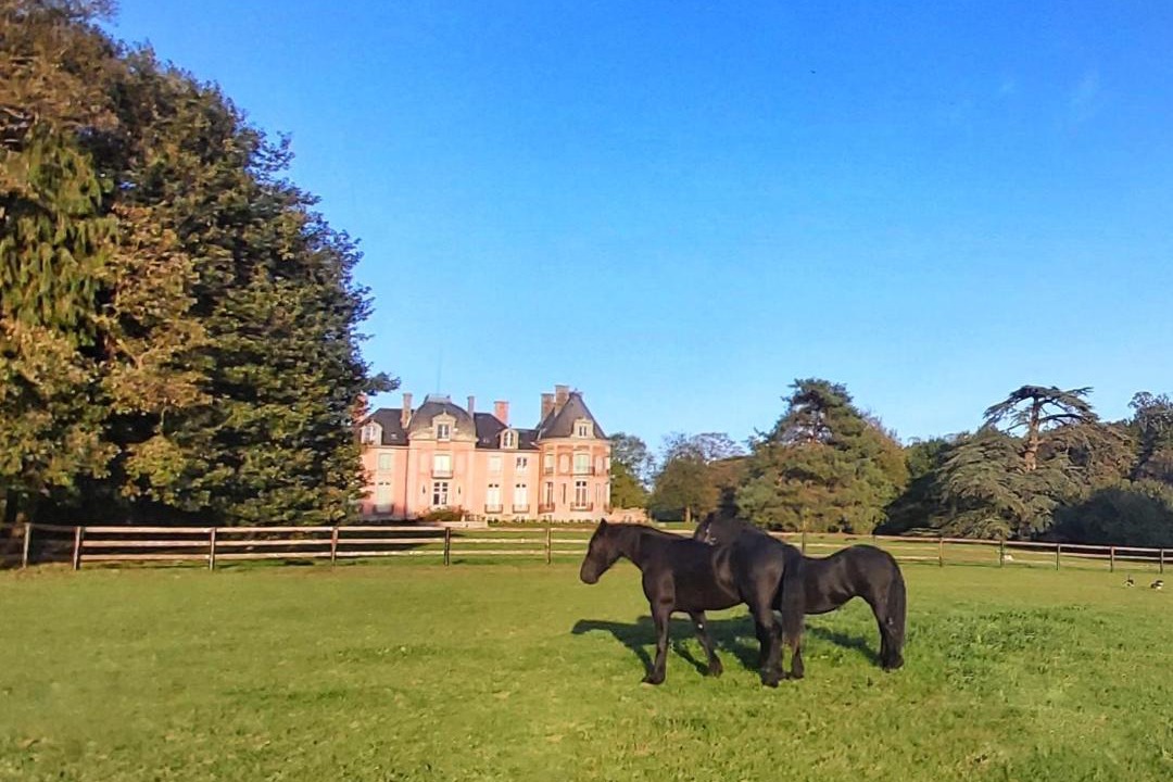 Photo of Others in Bacilly